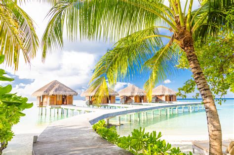Tropical Beach Maldiv