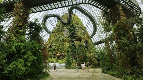 Gardens by the bay comprises three distinct waterfront gardens: Wilkinson Eyre's award-winning Gardens by the Bay in ...