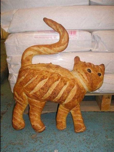 Funny Cat 30 Pictures Funnyfoto Cat Bread Food Themes Bread Art