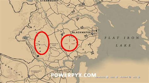 Of course, one of the best things to do in red dead redemption 2 is to go find some treasure à la indiana jones. Red Dead Redemption 2 Wild Horse Breed Locations