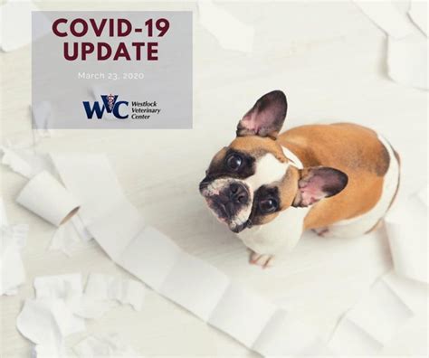 Covid 19 Updates • Westlock Veterinary Center