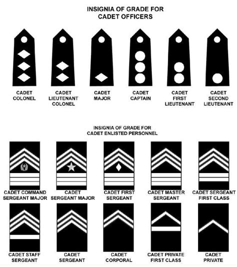 Cadet Ranks Diagram Quizlet