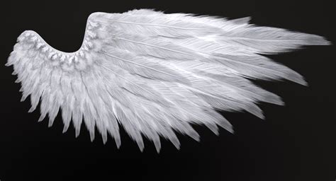 Realistic Angel Wings Rigged 3d Turbosquid 1282097