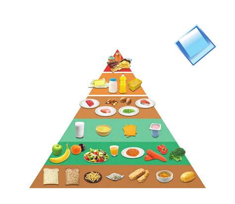 Food Pyramid 892