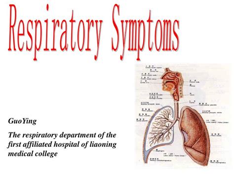 The respiratory system supplies the body with oxygen and disposes of carbon dioxide. PPT - Respiratory Symptoms PowerPoint Presentation - ID:5650763