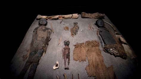 The Oldest Mummies Within The World Are Rotting And Sprouting Mold