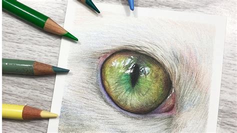 How To Draw Green Cat Eyes In Colored Pencil Youtube