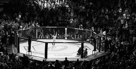 Ufc Cage Wallpapers Top Free Ufc Cage Backgrounds Wallpaperaccess