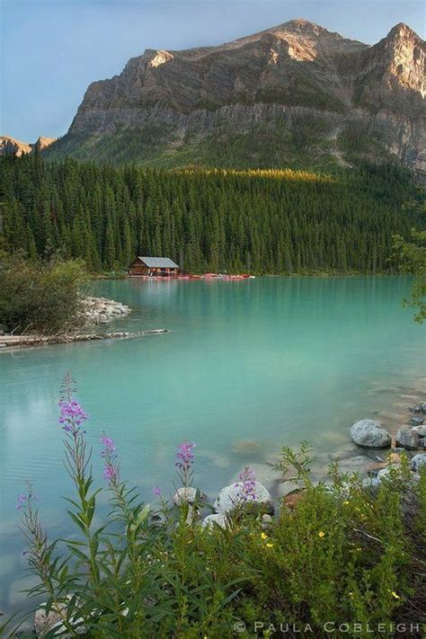 We have 12 florists with 1041 reviews delivering in ealing. Lake Louise - cold and rainy when I was here, but just as ...