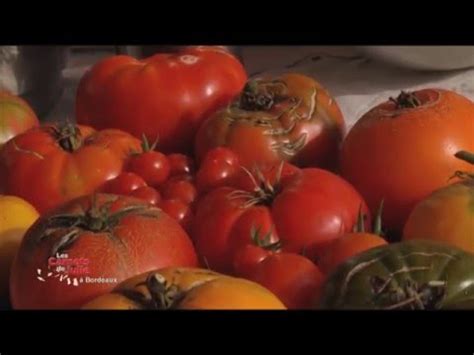 Tomates Farcies Cuites Et Crues De Nicolas Julie Andrieu