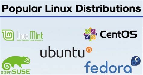 10 Best Most Popular Linux Distributions In 2021 Techviral