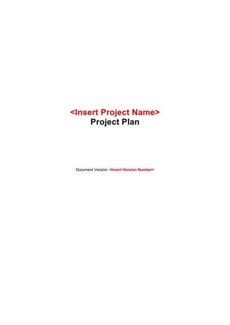 Comprehensive Project Plan For The Pdf