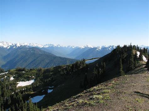 Hurricane Ridge Olympic National Park 2018 All You Need To Know