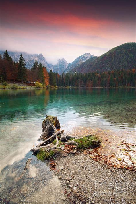 Lake Fusine Lago Di Fusine In North Italy In The Alps Photograph By