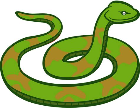 Snake Clipart Free Download Transparent Png Creazilla