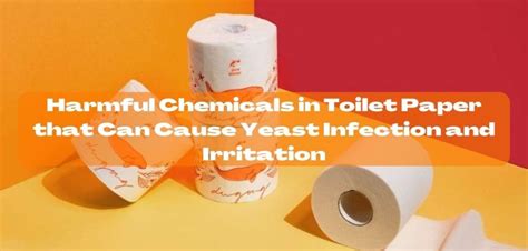 Can Toilet Paper Cause Yeast Infection