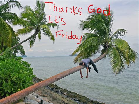 Thank God It S Friday Funny Quotes Quotesgram