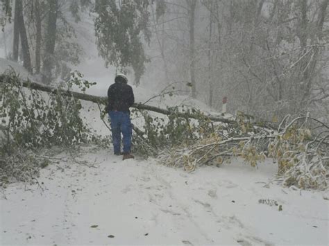 Nel comunicato ufficiale si legge che Neve e pioggia in Toscana, nuova allerta gialla - gonews.it