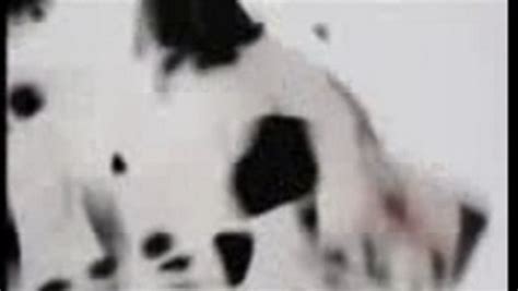 102 Dalmatians Teaser Trailer Video Dailymotion
