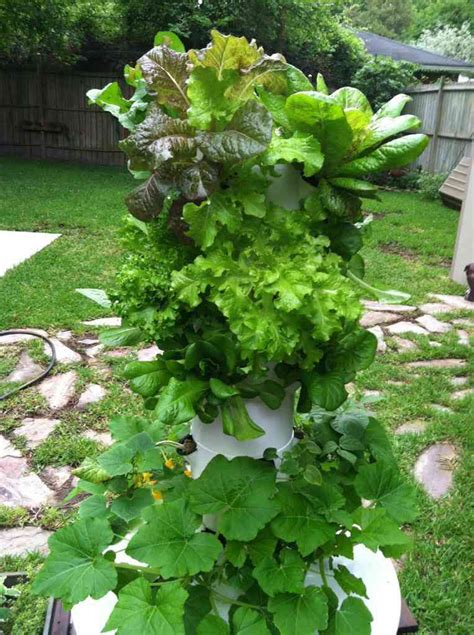 Tower Garden Growing System