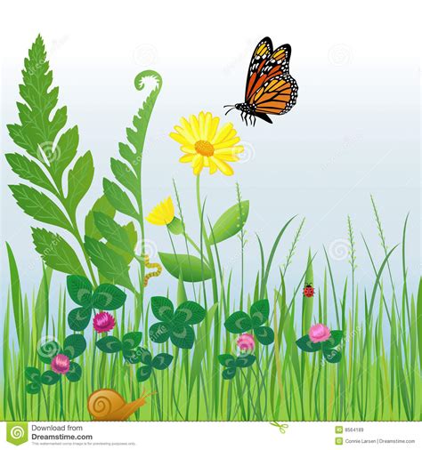 Meadow Flower Clipart Clipground