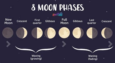 Eight Phases Of The Moon Explained Moon Magic Moon Phases Lunar Phase