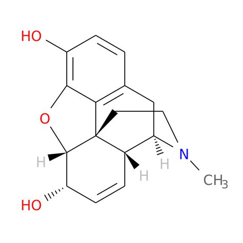 Morphine Brand Name List From