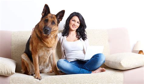 Why German Shepherd Might Be The Ultimate All Round Dog Breed Dog