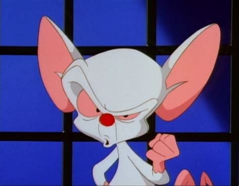 Pinky and the brain are white mice, who are kept as part of acme labs' experimentation. Picture of Pinky and the Brain