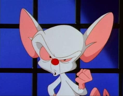 Blank customizable templates of the most popular trending and latest memes. Picture of Pinky and the Brain
