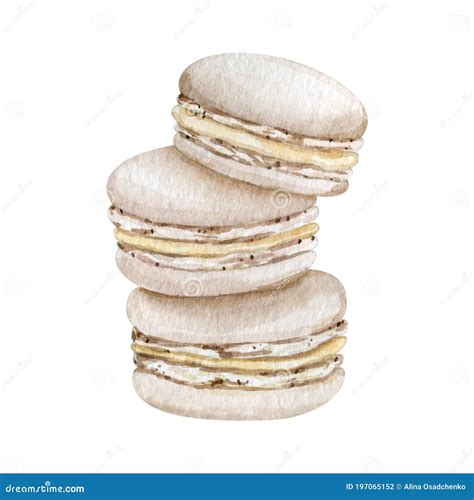 Watercolor French Macaroons Cookies Illustration Stock Illustration