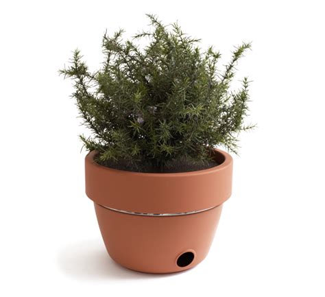 Use them in commercial designs under lifetime, perpetual & worldwide rights. Hot Pot BBQ is a Planter and a Charcoal Grill