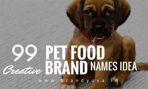 After all, our dogs should be healthy. 101+ Catchy Pet Food Brand Names Idea - Brandyuva.in