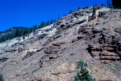 Geoscience Research Institute The Yellowstone Fossil “forests