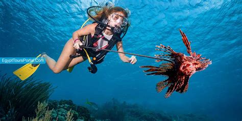 Scuba Diving Excursion In Hurghada Egypt Tours Portal