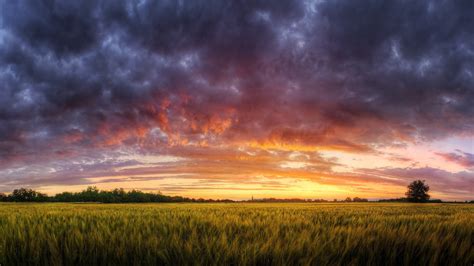 Wallpaper Sunlight Landscape Sunset Nature Sky Field Sunrise