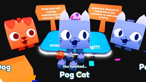 How To Get Pog Cat In Roblox Pet Simulator X Youtube