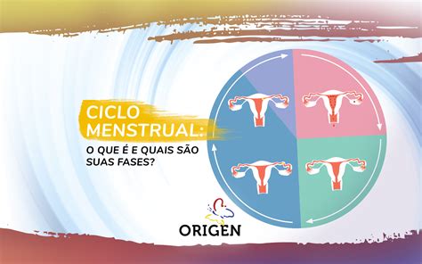 Ciclo Menstrual O Que é E Quais São Suas Fases Clínica Origen
