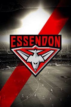 Official instagram account of the mighty bombers. AFL ESSENDON BOMBERS FOUR PLAYER FACSIMILE SIGNED ...