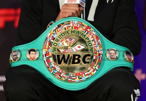 The conclusion is your recommendations, your findings, your next course of action, etc. Canelo, Smith Among Those Interested in Vacant WBC 168 ...