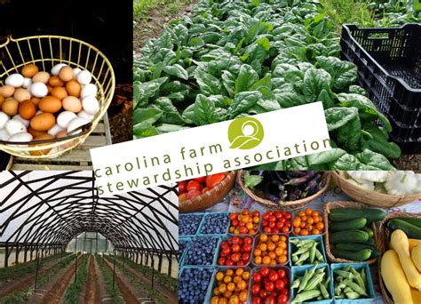 October 16 — All About Carolina Farm Stewardship Association — Agbio