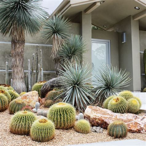Design With Cactus Desert Landscaping Cactus Garden Landscaping