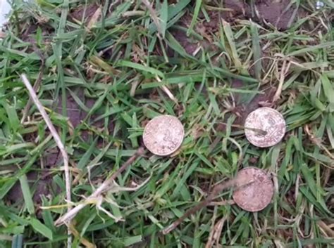 If the smoke detector beeping continues despite replacing the battery, remove the smoke alarm from the ceiling. Treasure hunter's metal detector suddenly beeps—so he ...