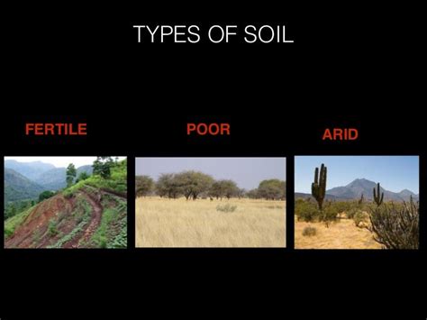 Types Soil 4
