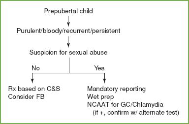 Prepubertal Vagina Examination Telegraph