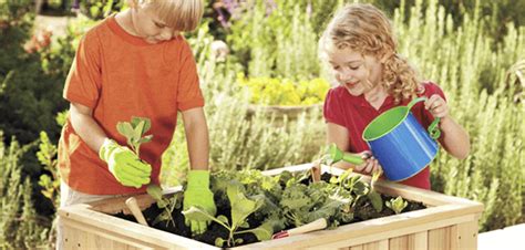 Como Empezar Un Huerto Particular Con Niños Jardineria Domenech