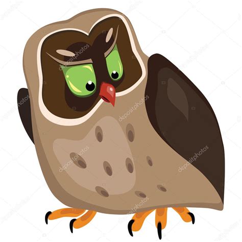 Angry Owl Stock Illustration By ©slybrowney 4674977