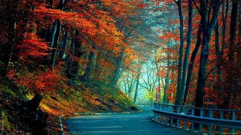 Autumn Path Wallpapers Wallpaper Cave