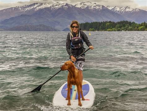Stand Up Paddle Boarding Lake Wanaka Guided Sup And Board Hire