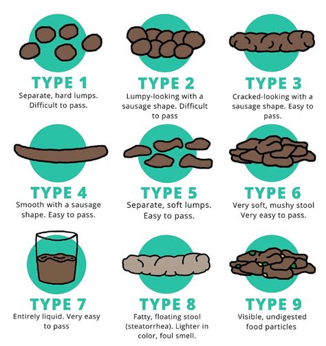 Bristol Stool Chart A Tool For Evaluating Gut Health